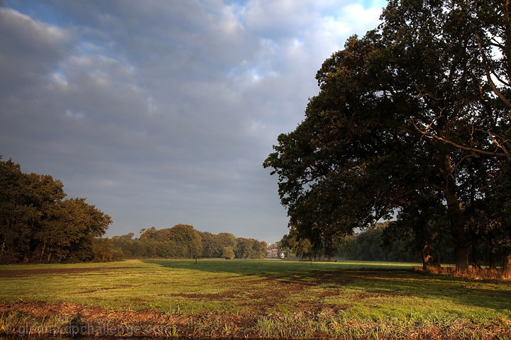 Early morning Landscape