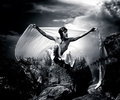 Dreams of Flight