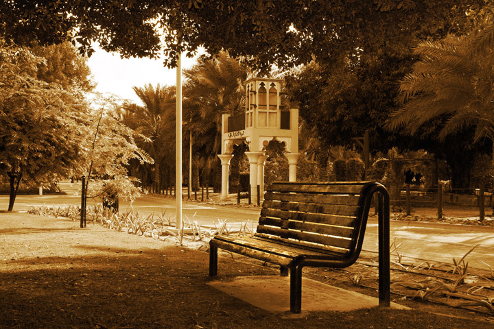 Bench Under The Tree