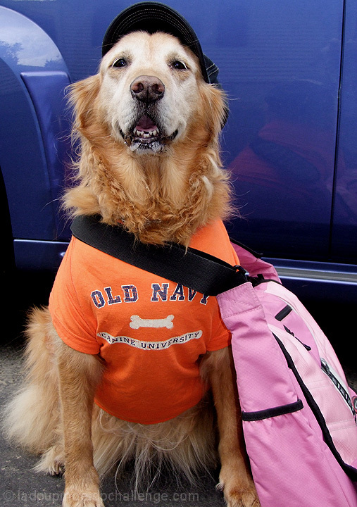 I'm ready for school