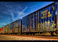 Rolling Canvas