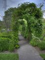 HDR Archway