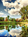 Reflection