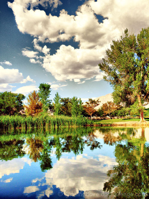 Reflection