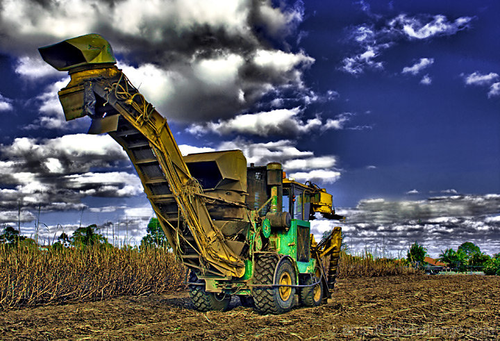 Harvest Time