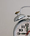 Time Slows to a Snail's Pace When the Workday Begins