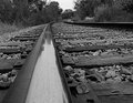 Rail