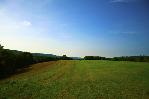 Pastoral Peace