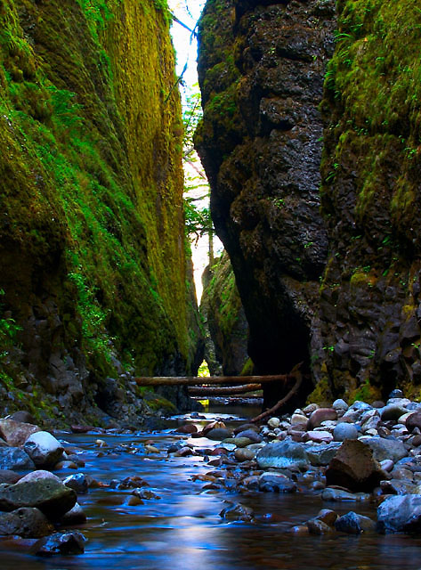 Oneonta Gorge