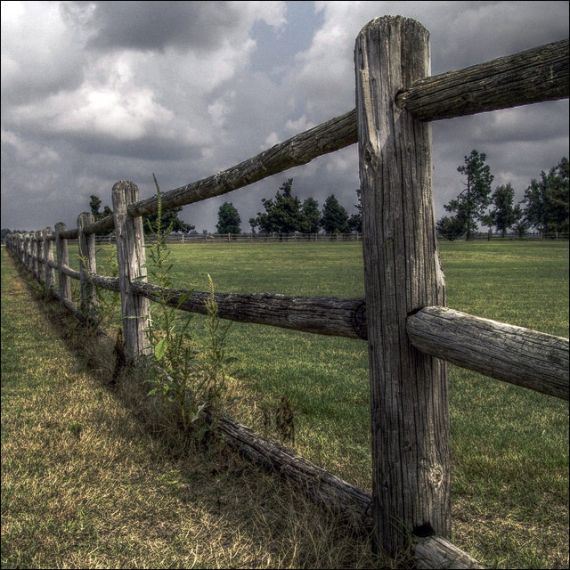 Log Fence