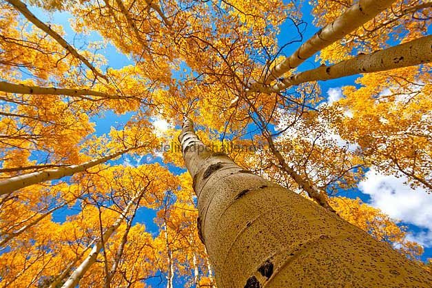 Aspen, Colorado