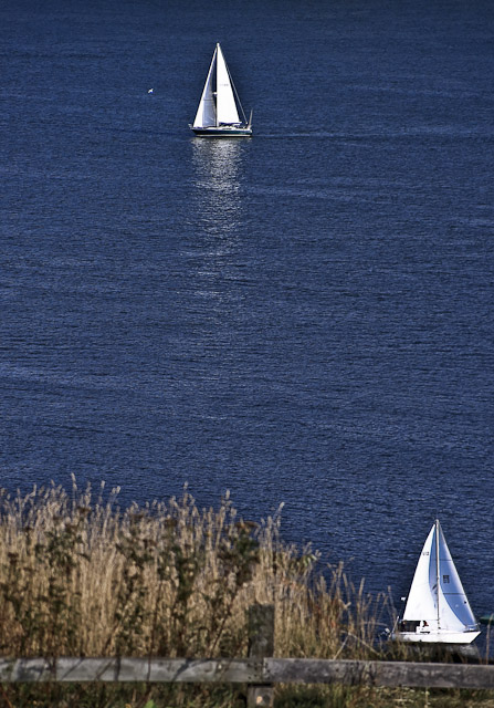 Sailboat on St-Lawrence river