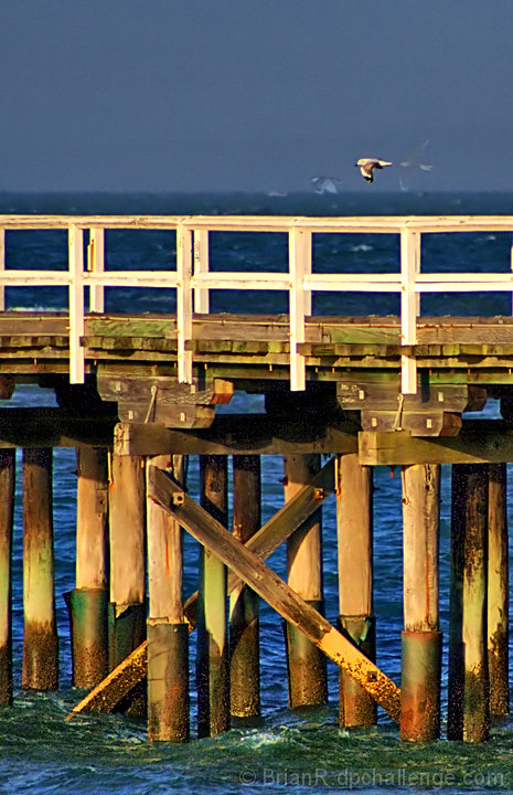 Beneath the Pier