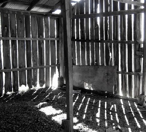 Inside the Old Barn