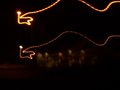 Lights in the Wind