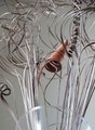 Twisted Twigs