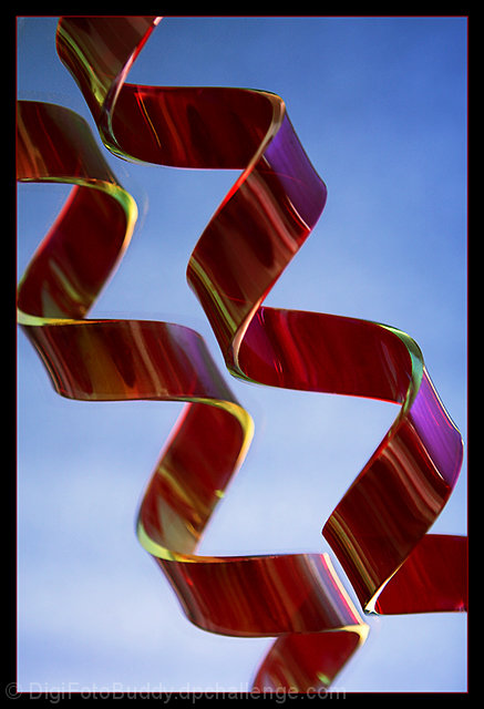 Still Life DNA