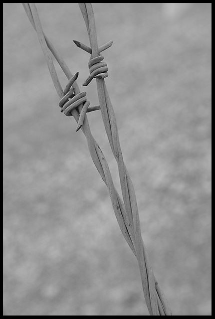 Twisted again and again....