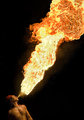 - DRAGON's BREATH -