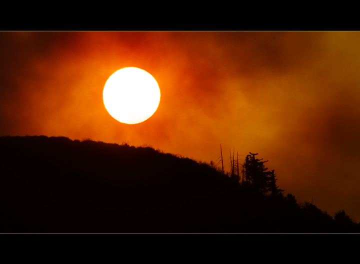 Angeles National Forest