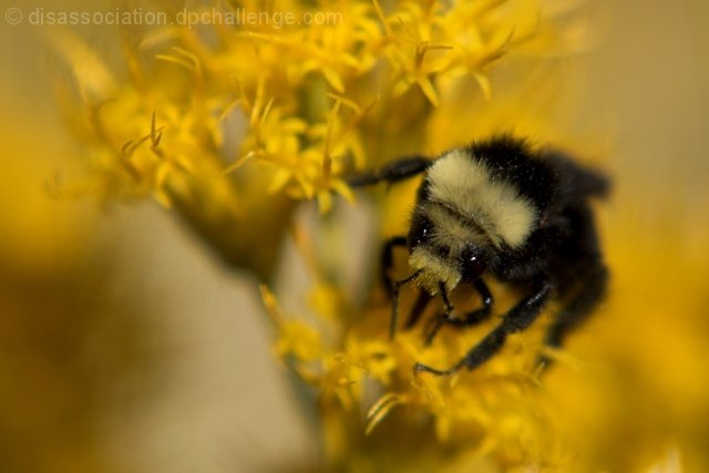 hidden treasures of the garden