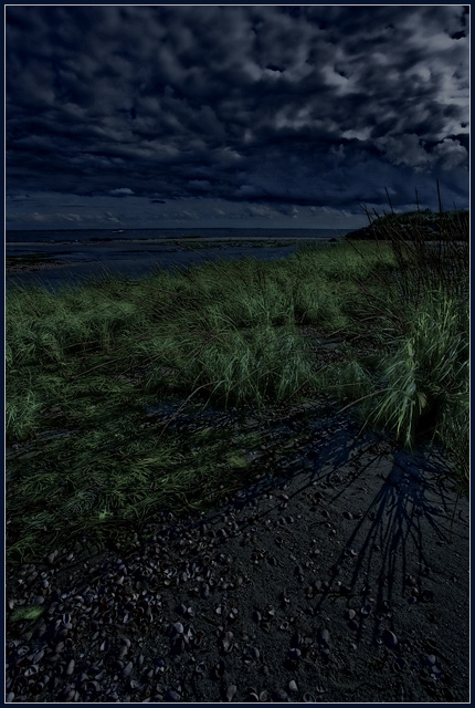 Dune Grass by Moonlight, Nantucket Sound