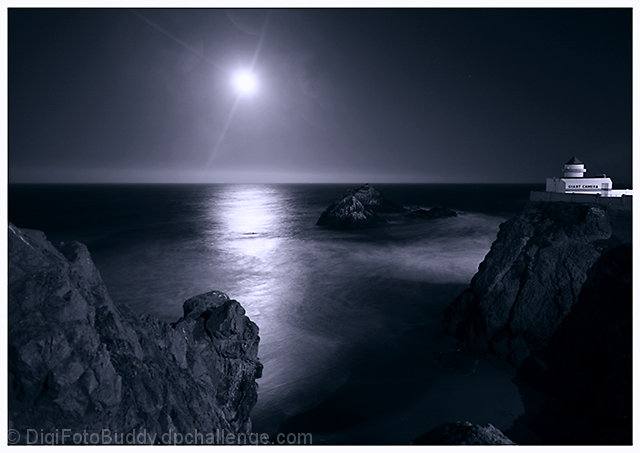 Moonlit Bay