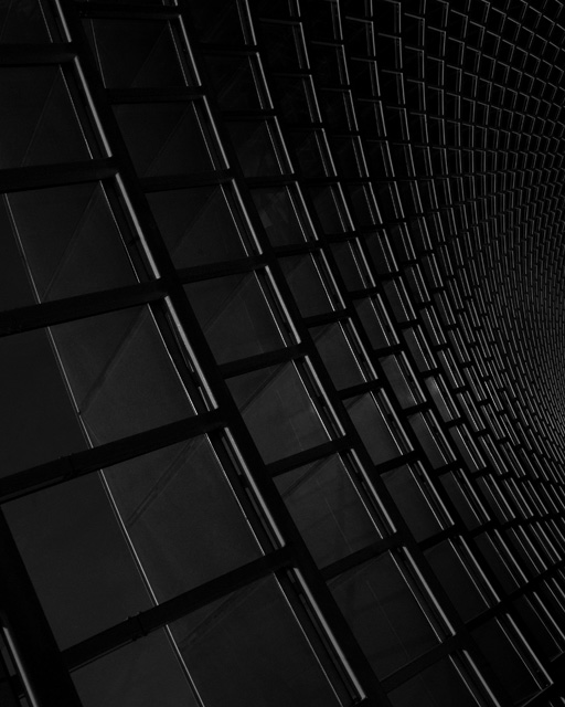 Patterned Highlights