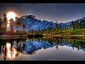 Morning Glory