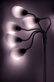 Medusa Lamp