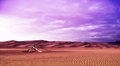 Desert Sculpture