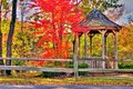 Gazebo in Bloom