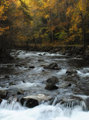 Smoky Mountain Stream