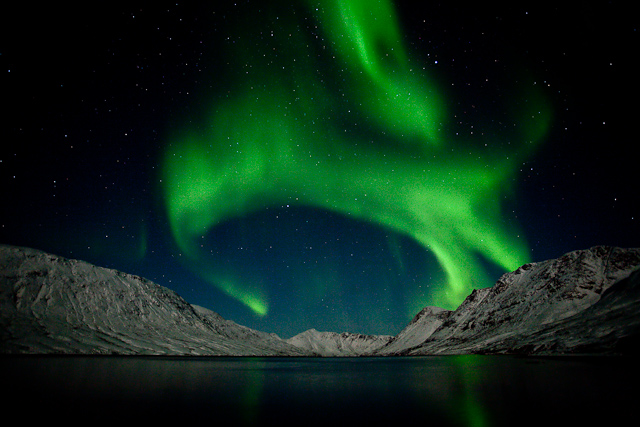 The green light in the land of green 