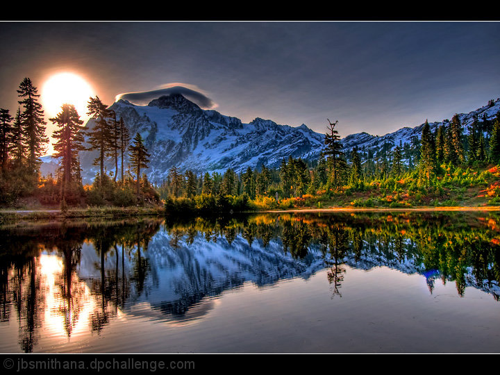 Morning Glory