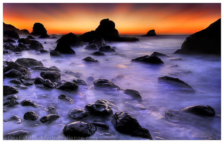 Twilight Dream