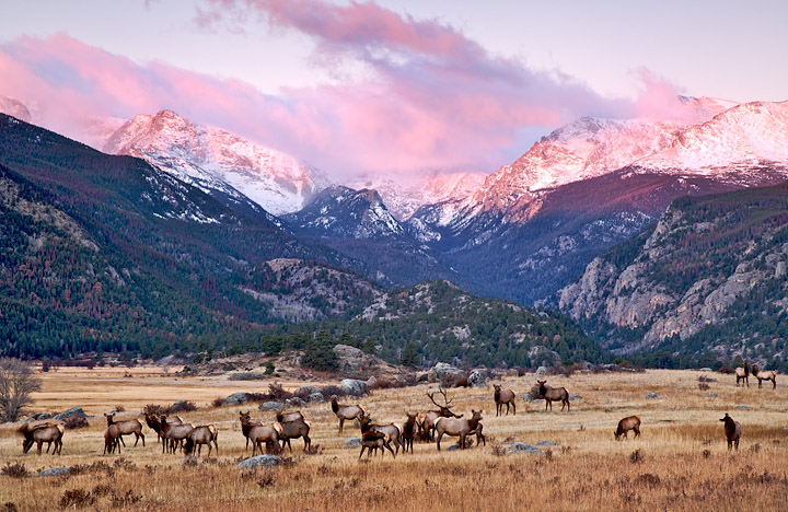 Glacial Valley Dawn