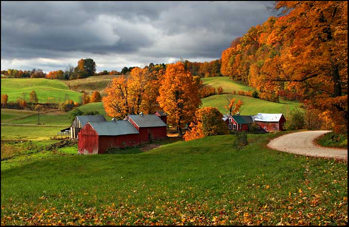 Jenne's Farm