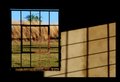Window View?
