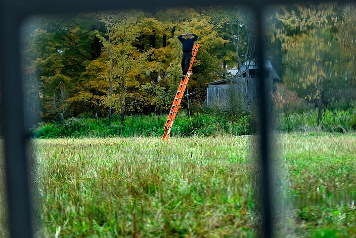The Lookout