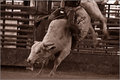 Raging Bull