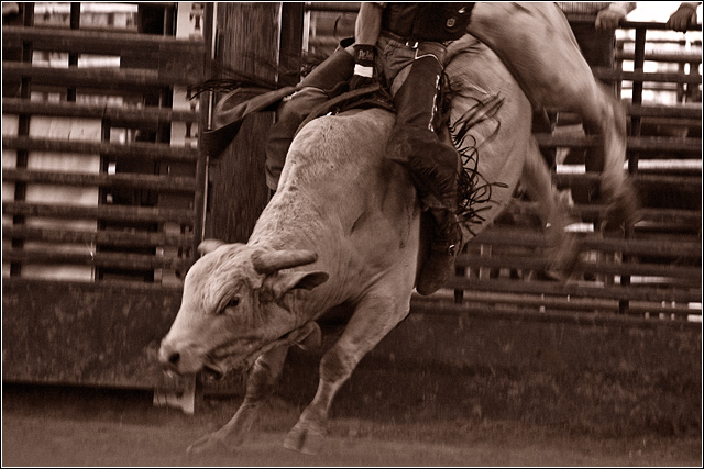 Raging Bull