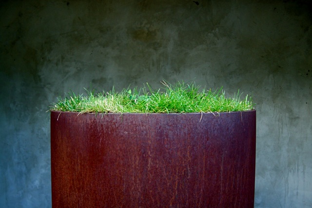 Nature beats Steel Framework