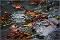 Depressing Precipitation Continues