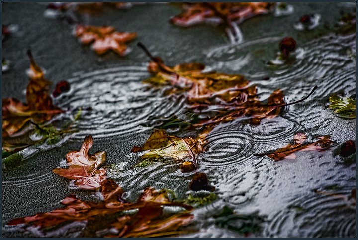 Depressing Precipitation Continues