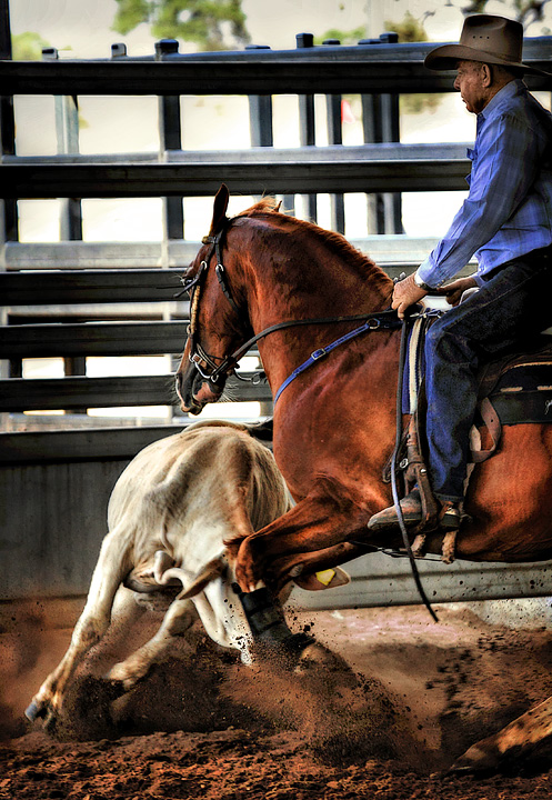 Dangerously Paced Cowboys