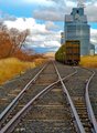 Tracks through the Palouse