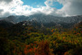 My Great Smoky Mountains