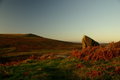 Dartmoor, early morning