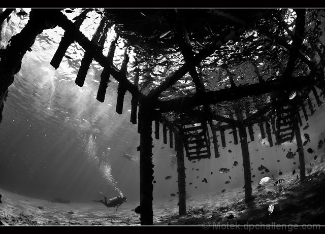 Red sea - Come explore